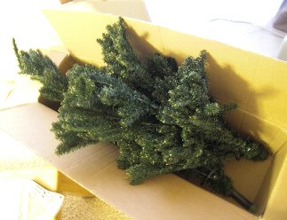 christmastree.jpg