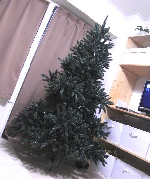 christmastree2.jpg