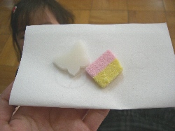 wagashi2syu.jpg